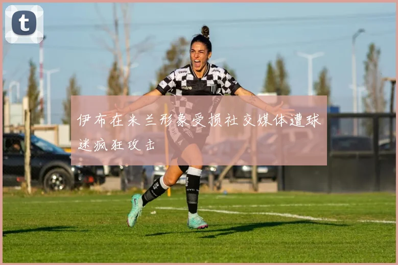 伊布在米兰形象受损社交媒体遭球迷疯狂攻击