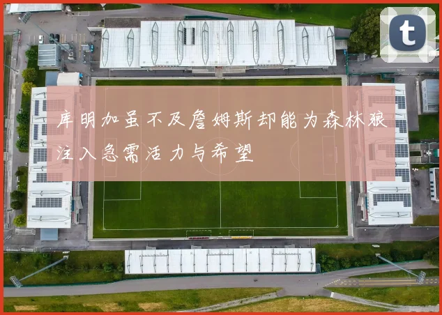 库明加虽不及詹姆斯却能为森林狼注入急需活力与希望